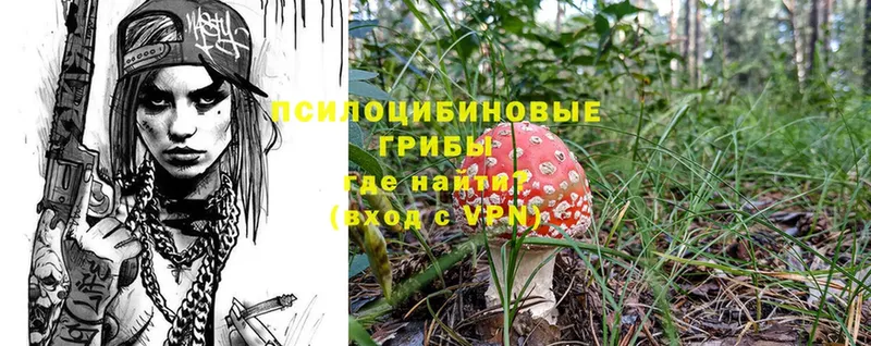 Галлюциногенные грибы MAGIC MUSHROOMS Гороховец